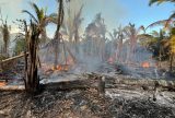 MPAM realiza ronda ambiental e flagra incêndio criminoso em Manicoré