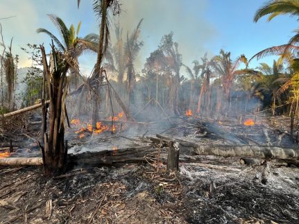 MPAM realiza ronda ambiental e flagra incêndio criminoso em Manicoré