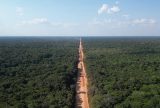 Eleição para Aleam e BR-319 expõem encruzilhada do Amazonas