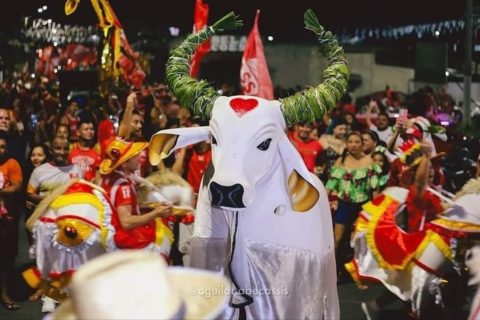 Garantido realiza tradicional matança nesta quinta no curral de Manaus