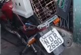 Cães são mantidos em situação de abandono e maus-tratos na zona-oeste de Manaus