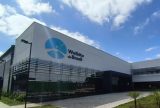 Brasil inaugura super fábrica de mosquitos que combatem dengue com bactéria natural
