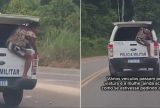 Idosa tenta se jogar de viatura em movimento e causa pânico na AM-070