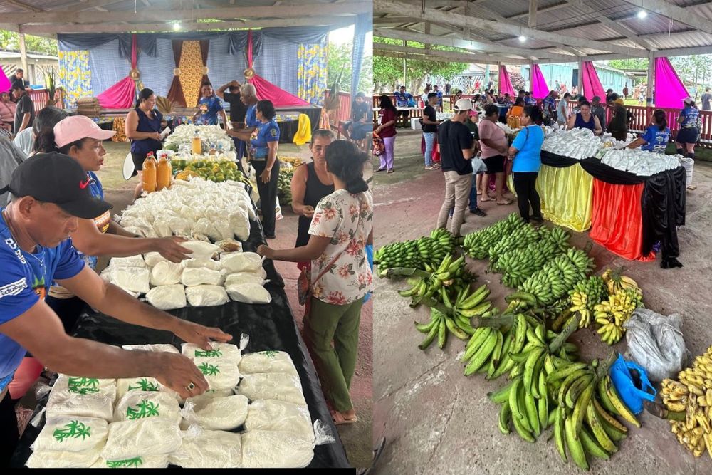 Agricultores de Japurá vão comercializar produção em feira promovida pelo Idam Agricultores de Japurá vão comercializar produção em feira promovida pelo Idam