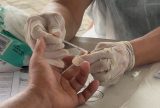 Hepatites avançam no Norte e exigem atenção: vírus podem afetar rins, cérebro e causar câncer
