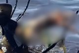 Perna de homem desaparecido é encontrada boiando no rio em Coari