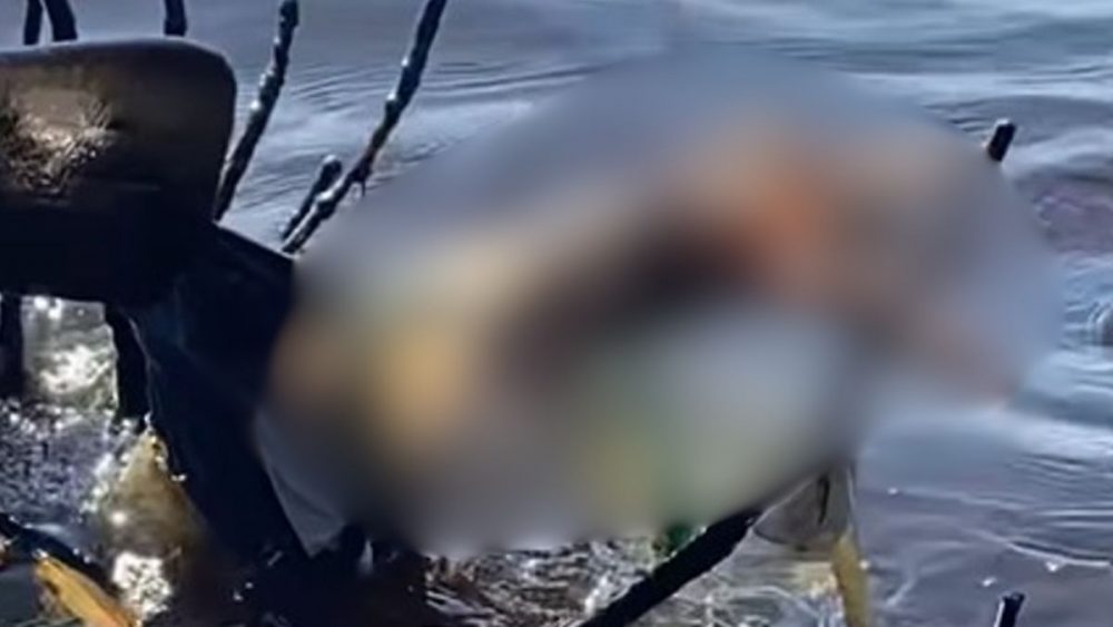 Perna de homem desaparecido &eacute; encontrada boiando no rio em Coari