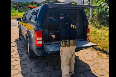 PRF atua em ação conjunta e prende três homens por estupro no interior do Amazonas