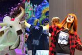 Cultura gratuita: Garantido, Caprichoso e musical de Rita Lee agitam Manaus no fim de semana