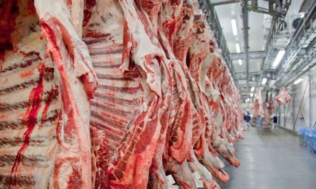 Brasil esgota cota de exportação de carne bovina para os Estados Unidos em 2026