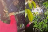 Embarcação naufraga em Maués e ocupantes são resgatados durante a madrugada