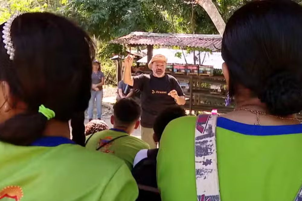 Aulas ao ar livre em Iranduba aproximam alunos da produção de mel e da preservação ambiental Aulas ao ar livre em Iranduba aproximam alunos da produção de mel e da preservação ambiental