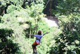 Gestores aprovam modelo de concessão de parques naturais e urbanos