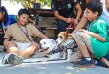 SEPcD promove manhã lúdica com cães da Polícia Militar para crianças com deficiência