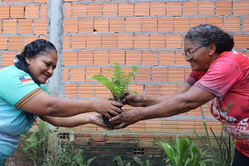 Projeto valoriza saber ancestral de mulheres em Parintins