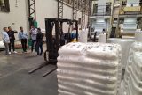 Empregos no setor de serviços alcançam 15,2 milhões em 2023