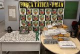 Polícia apreende mais de 80 quilos de entorpecentes no bairro Tarumã