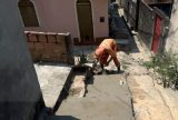 Obras de drenagem e escadaria são finalizadas pela Prefeitura no bairro Japiim