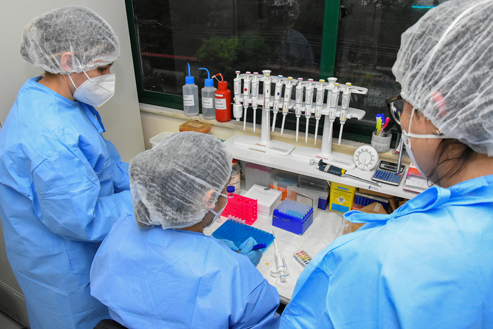 Pesquisa sobre Cancer de Colo do Utero Foto Ingrid Anne ILMD Fiocruz 14.03.2022 21 1500x1000 1 Projeto Futuras Cientistas abre inscrições para imersão na Fiocruz Amazônia-radardasaude