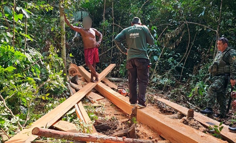 Fiscalização aplica mais de R$ 427 mil em multas por crimes ambientais no Amazonas