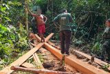 Fiscalização aplica mais de R$ 427 mil em multas por crimes ambientais no Amazonas