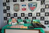 Mãe e filho são presos por tráfico e posse de munição em Boa Vista do Ramos