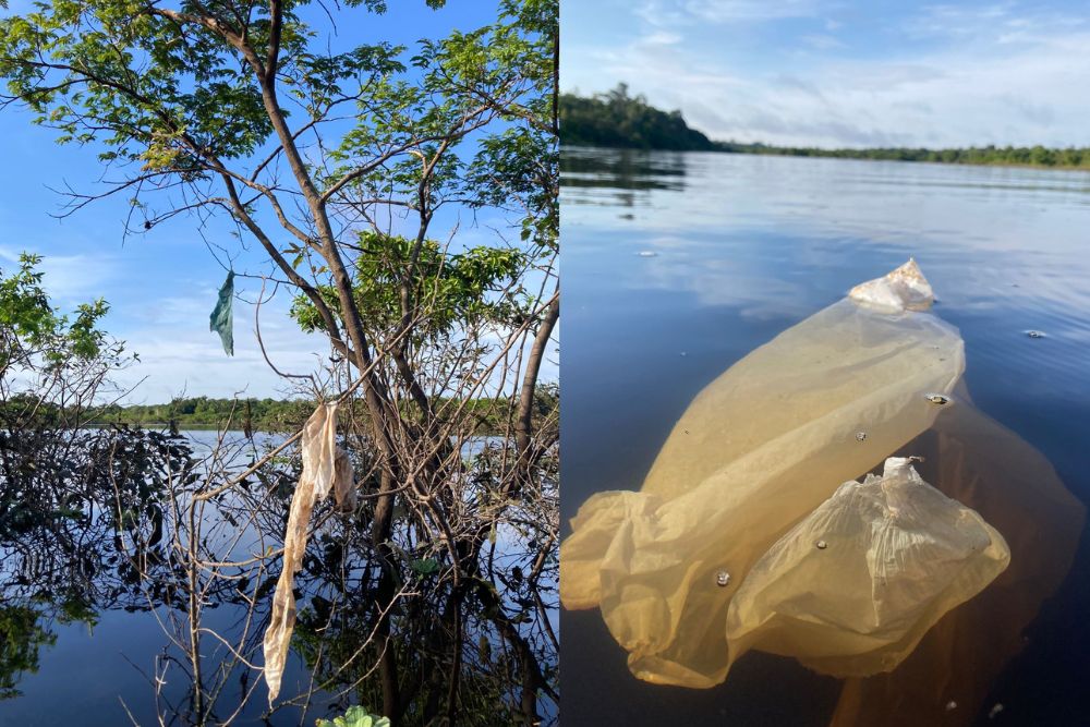 Estudo aponta extensa e preocupante contamina&ccedil;&atilde;o por pl&aacute;sticos na Amaz&ocirc;nia 