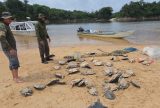 Ibama, ICMBio e Funai realizam ação de monitoramento ambiental em sete municípios do Amazonas