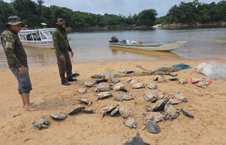 Ibama, ICMBio e Funai realizam ação de monitoramento ambiental em sete municípios do Amazonas