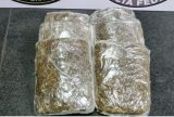 Passageira é presa com 2,9 kg de maconha presos ao corpo no Aeroporto de Manaus