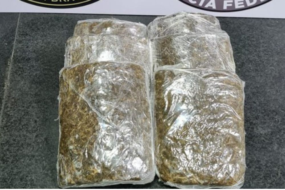 Passageira é presa com 2,9 kg de maconha presos ao corpo no Aeroporto de Manaus Passageira é presa com 2,9 kg de maconha presos ao corpo no Aeroporto de Manaus
