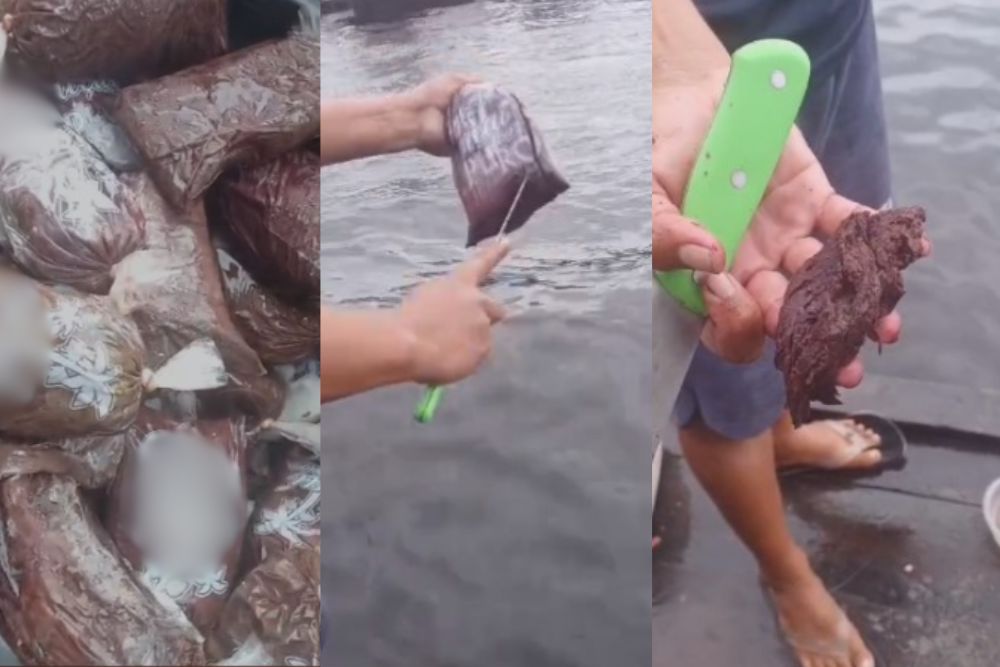 Consumidores registram poss&iacute;vel fraude em a&ccedil;a&iacute; vendido no Amazonas