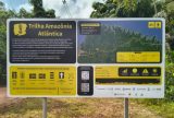 Com 468 km, Trilha Amazônia Atlântica será inaugurada na COP30