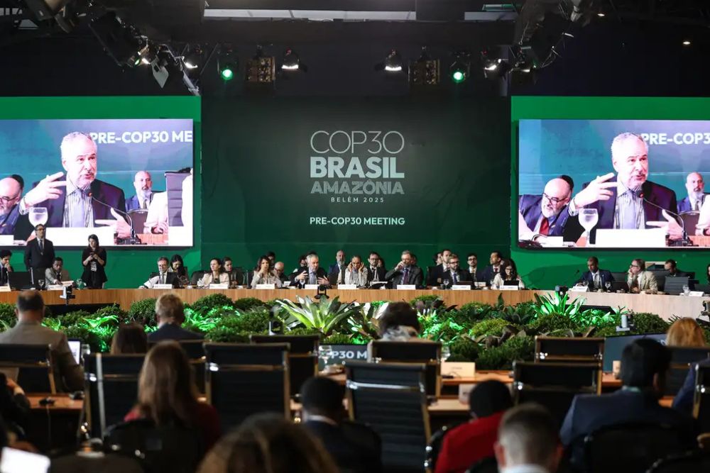 BNDES lança plataforma para monitorar ações do Fundo Clima