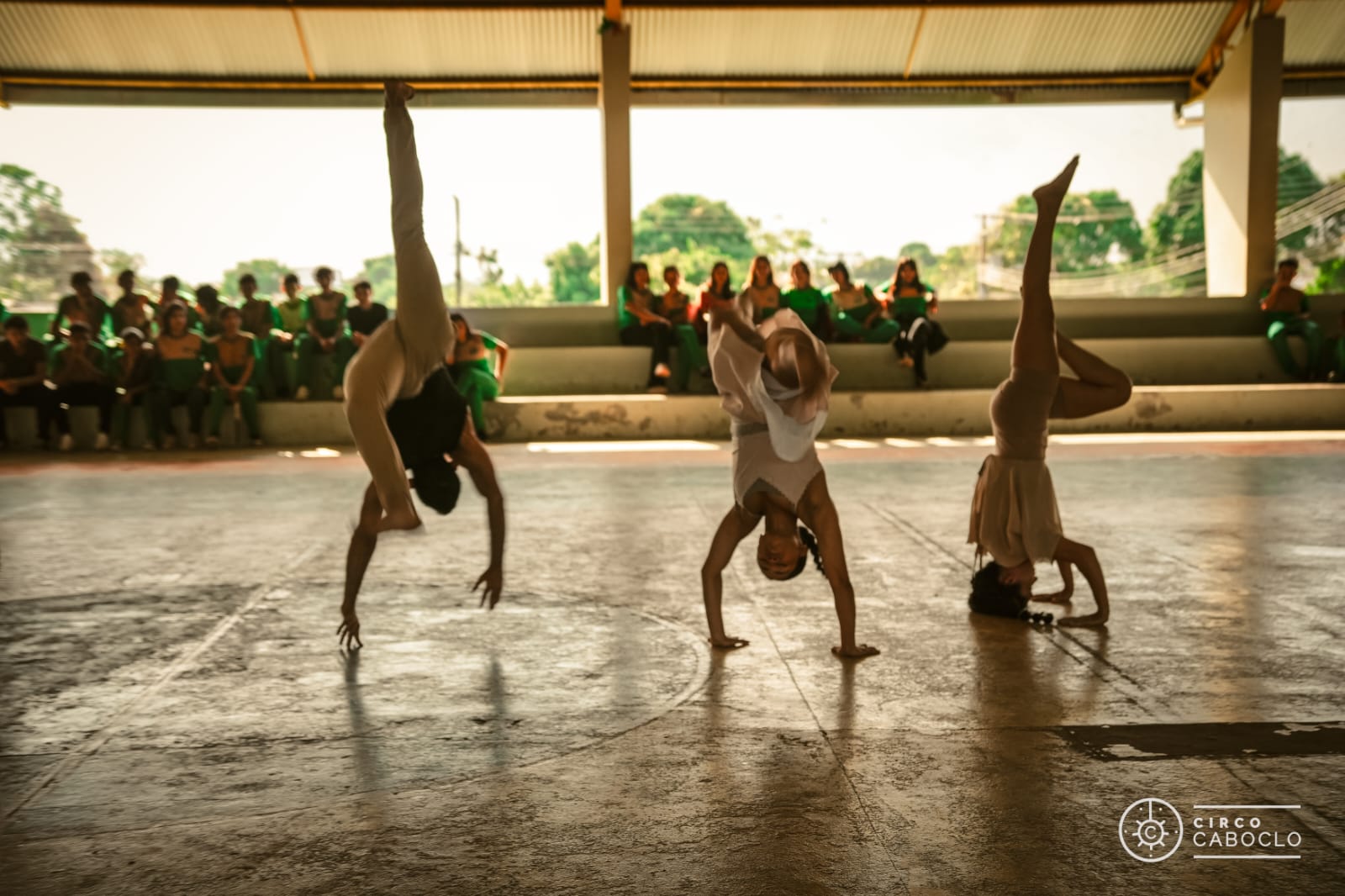 ‘Viveiro Acrobático’: proposta artística proporciona imersão no universo circense ‘Viveiro Acrobático’: proposta artística proporciona imersão no universo circense