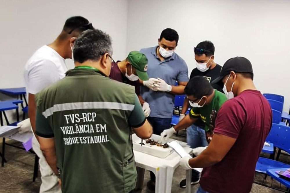 Tabatinga recebe treinamento especializado em controle de morcegos transmissores de doen&ccedil;as