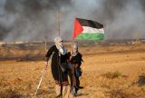 Sintonizado com Corte Internacional de Justiça, Brasil cobra respeito à Palestina