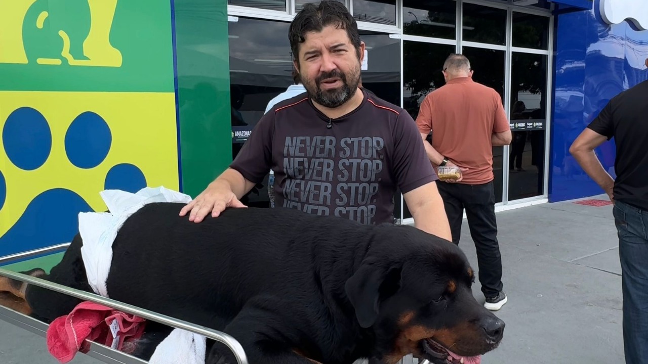 Hospital Público Veterinário do Amazonas registra mais de 23 mil procedimentos em um mês