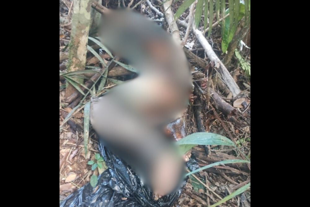 Corpo é encontrado amarrado e em decomposição em área de mata no Tarumã