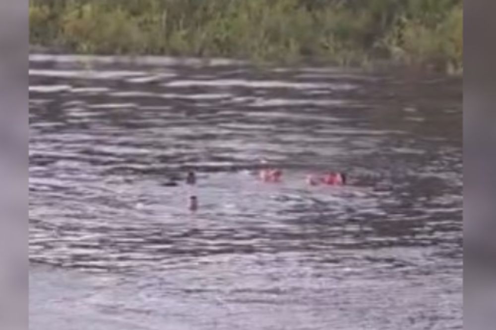 Fam&iacute;lia sobrevive a naufr&aacute;gio de baleeira no interior do Amazonas