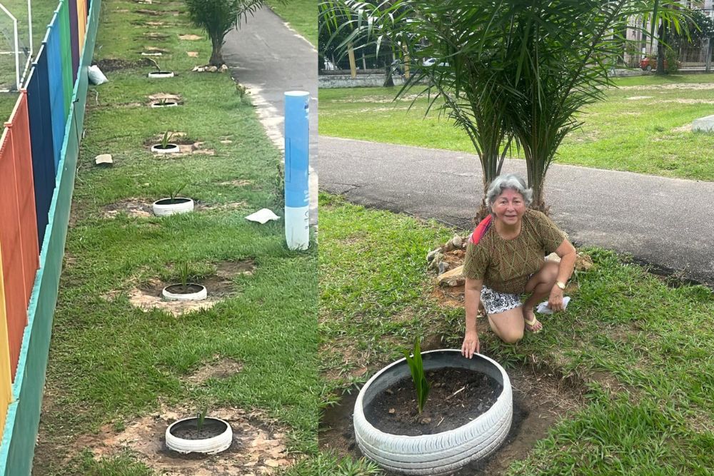 Casal transforma CSU do Parque 10 com mais de 99 &aacute;rvores plantadas por conta pr&oacute;pria