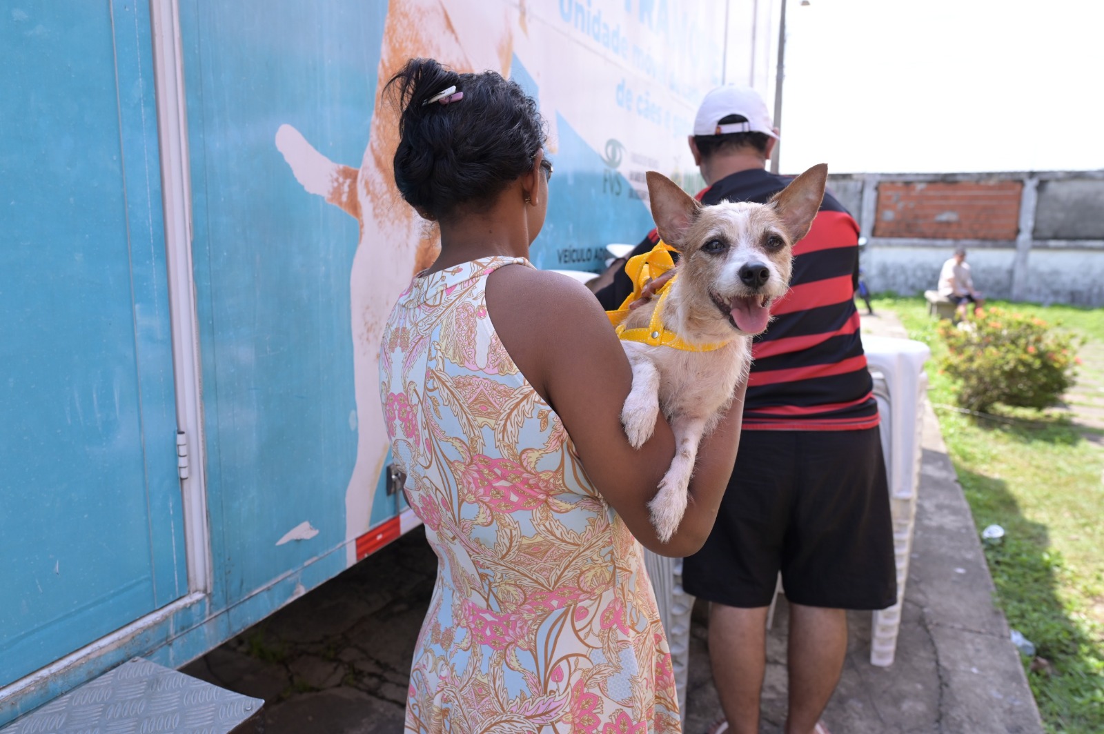 Silves recebe Castramóvel para castração gratuita de cães e gatos pela primeira vez