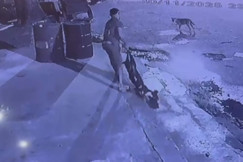 Homem mata cachorro ap&oacute;s ataque em via p&uacute;blica em Borba