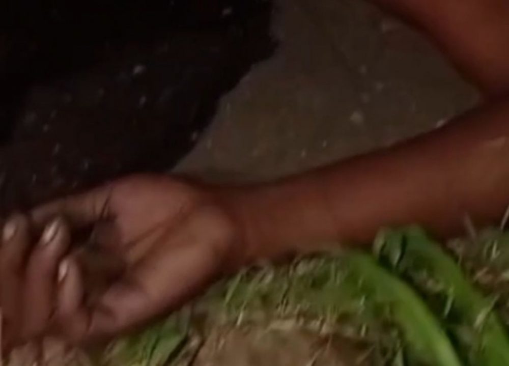 Mulher é encontrada morta debaixo de micro-ônibus em Presidente Figueiredo