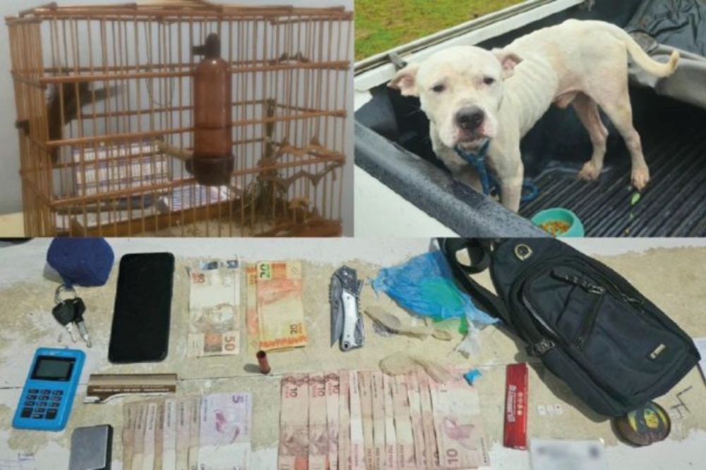 Homem é preso por tráfico e maus-tratos a animais durante operação no interior do AM
