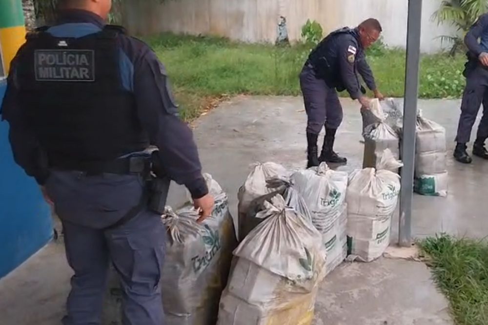 Polícia retira de circulação mais de uma tonelada de drogas em Rio Preto da Eva