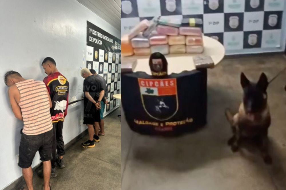 Cães farejadores interceptam embarcação de Tefé e apreendem cerca de 20 kg de drogas em Manaus