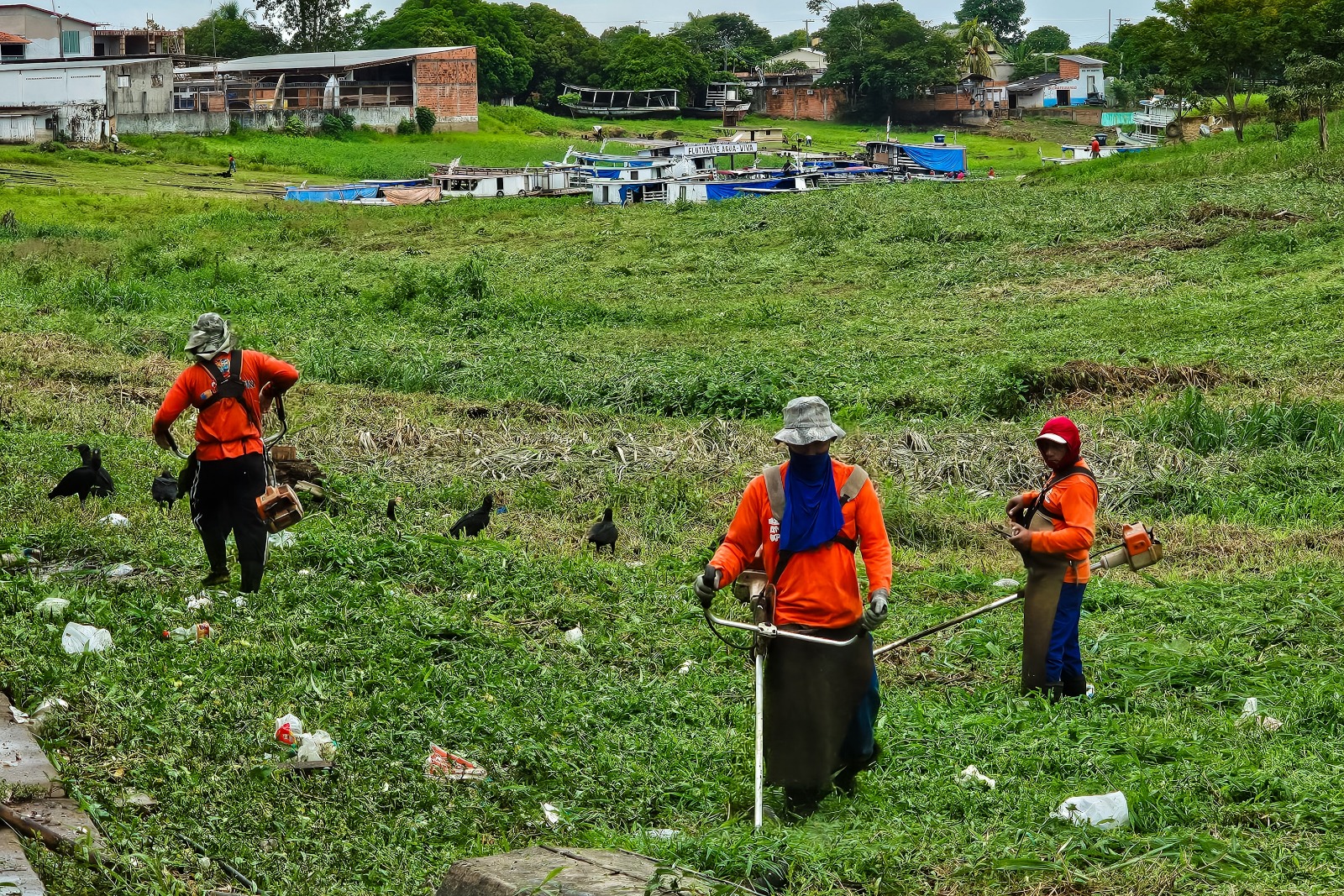 Prefeitura realiza mutir&atilde;o de limpeza na orla da Francesa