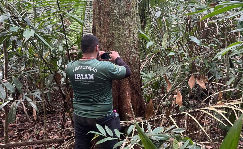 Amazonas dá início ao período do Defeso Florestal nesta quinta-feira (15)