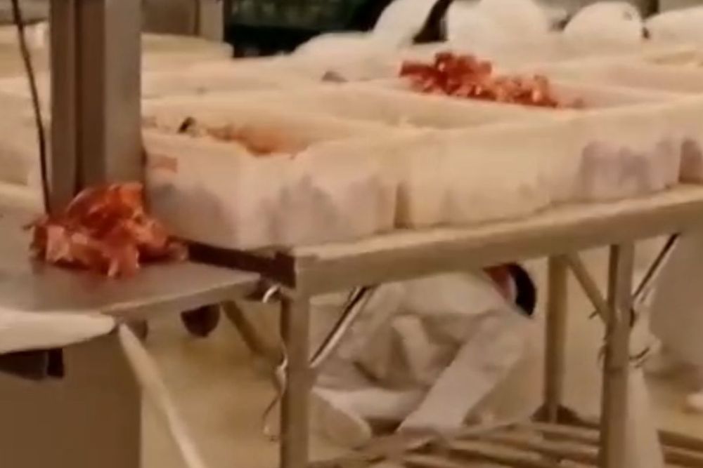 Clientes registram briga entre a&ccedil;ougueiros dentro de supermercado de Manaus
